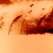 [恐怖/纪录片] 原子咖啡厅 The Atomic Cafe  [保罗·提贝兹/哈里·S·杜鲁门][蓝光/高清1080p/4K下载]