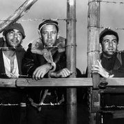 [战争/喜剧] 战地军魂 Stalag 17  [威廉·霍尔登/唐·泰勒][蓝光/高清1080p/4K下载]