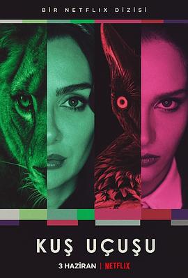 [剧情] 直线篡位 Kuş Uçuşu  [比尔婕·阿卡蕾/易卜拉欣·切雷克库尔][蓝光/高清1080p/4K下载]