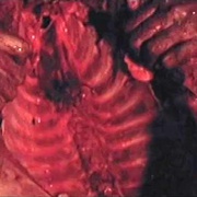 [恐怖/冒险] 最后的食人族世界 Ultimo mondo cannibale  [Massimo Foschi/Me Me Lai][蓝光/高清1080p/4K下载]