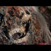 [恐怖/冒险] 最后的食人族世界 Ultimo mondo cannibale  [Massimo Foschi/Me Me Lai][蓝光/高清1080p/4K下载]