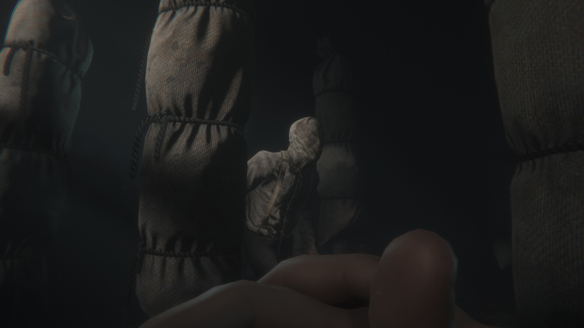 斯盖尔之女VR版 Build.22329117（Maid of Sker VR）免安装中文版