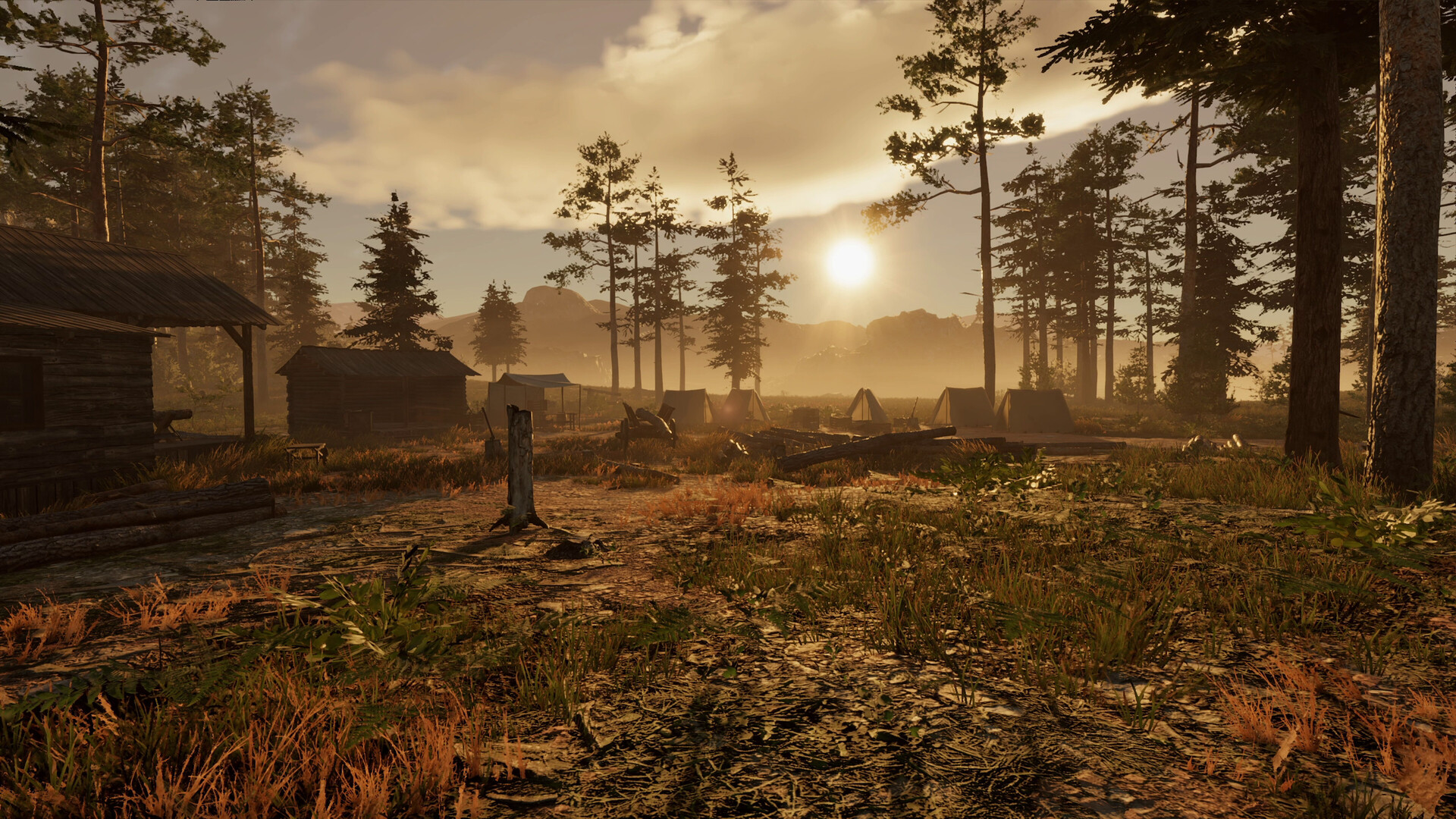 狂野西部:传承 v1.0正式版(Wild West Legacy)免安装中文版