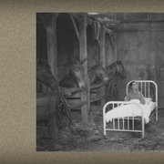 [动作/喜剧] 船长二世 Steamboat Bill, Jr.  [巴斯特·基顿/汤姆·麦奎尔][蓝光/高清1080p/4K下载]