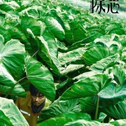 [犯罪/悬疑] 除恶  [任素汐/王骁][蓝光/高清1080p/4K下载]