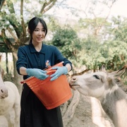 [剧情] 动物园 動物園  [邵雨薇/王柏杰][蓝光/高清1080p/4K下载]