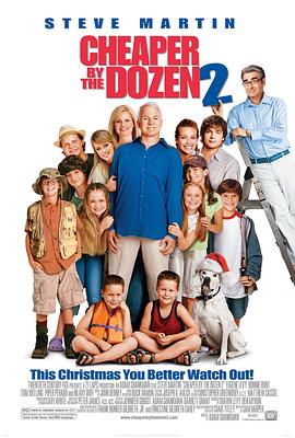 [冒险/家庭] 儿女一箩筐2 Cheaper by the Dozen 2  [史蒂夫·马丁/邦尼·亨特][蓝光/高清1080p/4K下载]