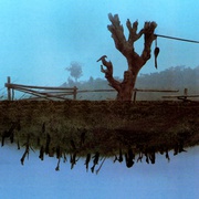 [剧情] 孩子王  [谢园/杨学文][蓝光/高清1080p/4K下载]