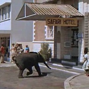 [动作/冒险] 哈泰利 Hatari!  [约翰·韦恩/哈迪·克鲁格][蓝光/高清1080p/4K下载]