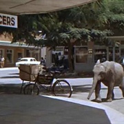 [动作/冒险] 哈泰利 Hatari!  [约翰·韦恩/哈迪·克鲁格][蓝光/高清1080p/4K下载]