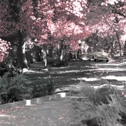 [喜剧/奇幻] 欢乐谷 Pleasantville  [威廉·H·梅西/琼·艾伦][蓝光/高清1080p/4K下载]