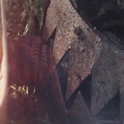 [恐怖] 近亲交配 Inbred  [乔·哈特利/James Doherty][蓝光/高清1080p/4K下载]