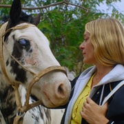 [喜剧] 魔法农场 Magic Farm  [科洛·塞维尼/亚历克斯·沃尔夫][蓝光/高清1080p/4K下载]