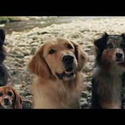 [爱情/喜剧] 末日爱情 Amour apocalypse  [帕特里克·伊冯/派珀·佩拉博][蓝光/高清1080p/4K下载]