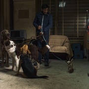 [犯罪/惊悚] 犬舍惊魂 Dogman  [马尔切洛·丰特/爱德华多·佩谢][蓝光/高清1080p/4K下载]