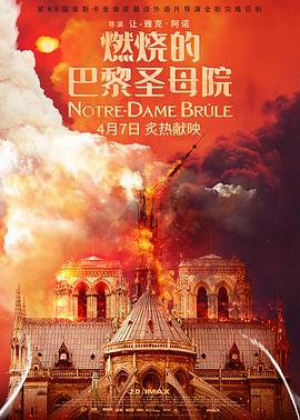 [惊悚/传记] 燃烧的巴黎圣母院 Notre-Dame brûle  [塞缪尔·拉巴特/让-保罗·博德斯][蓝光/高清1080p/4K下载]