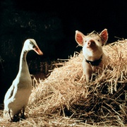 [冒险/奇幻] 小猪宝贝 Babe  [克里斯汀·凯文诺/米瑞安·玛格莱斯][蓝光/高清1080p/4K下载]