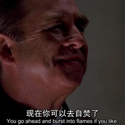 [冒险/科幻] 星际之门：真理之盒 Stargate: The Ark of Truth  [本·布劳德/迈克尔·山克斯][蓝光/高清1080p/4K下载]