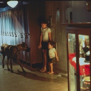 [喜剧] 一路上有你 Simon Birch  [Ian Michael Smith/约瑟夫·梅泽罗][蓝光/高清1080p/4K下载]