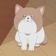 [喜剧/爱情] 相反的你和我 正反対な君と僕  [铃代纱弓/坂田将吾][蓝光/高清1080p/4K下载]