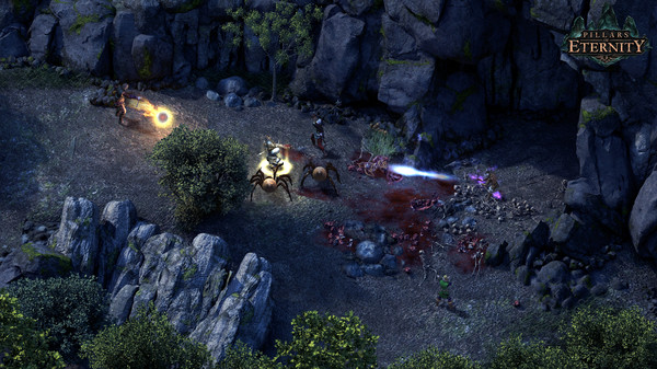 永恒之柱 v3.9.4.89183 全DLC（Pillars of Eternity）免安装英文版
