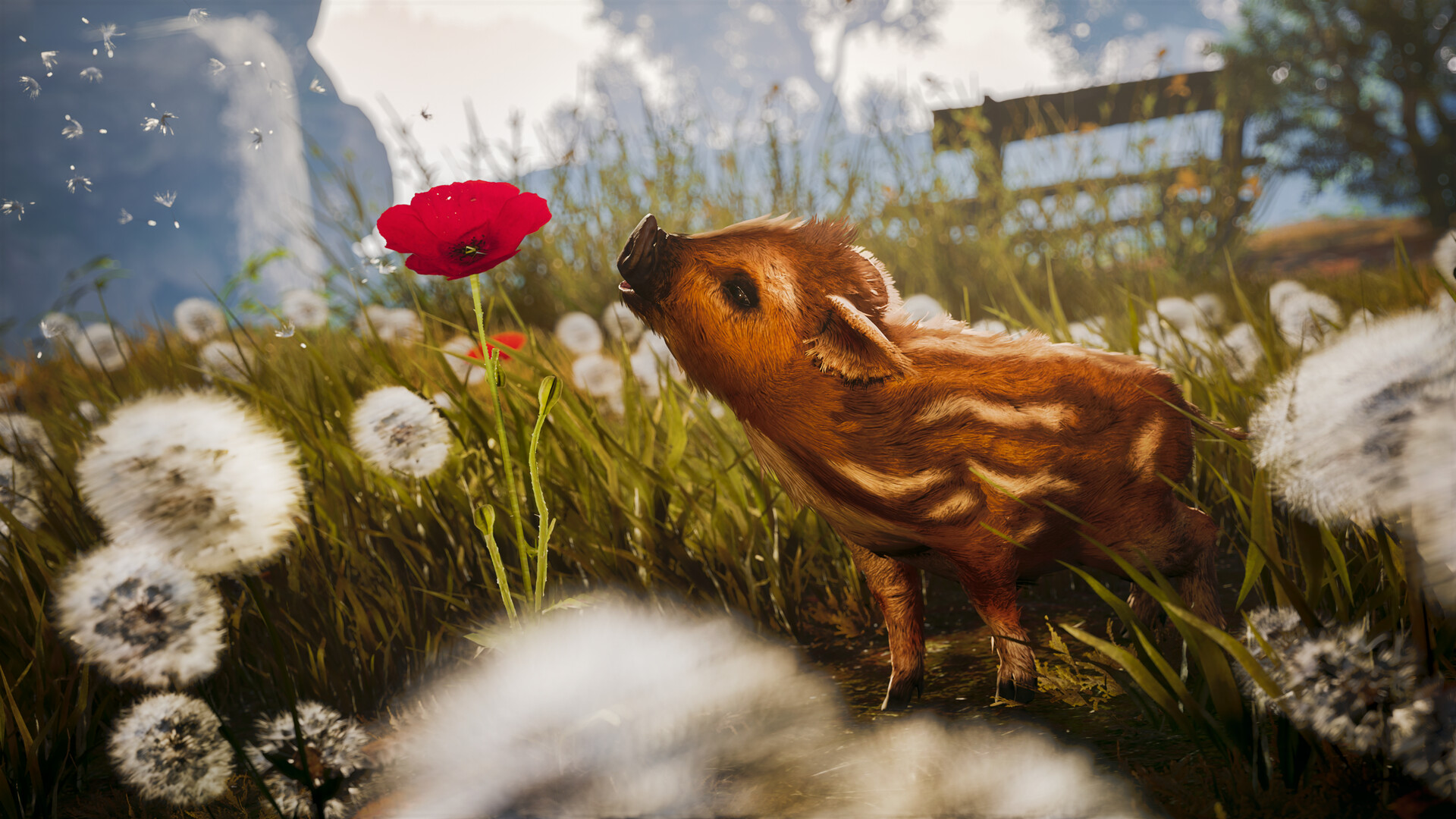 可爱冒险记 v1.0.3.8312（Adorable Adventures）免安装中文版