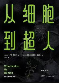 从细胞到超人