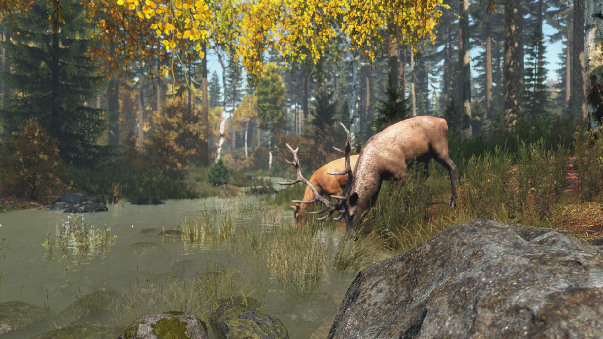 DayZ|豪华中文|Build.22678174+预购特典+全DLC|解压即撸|