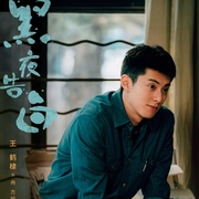 [犯罪/悬疑] 黑夜告白  [潘粤明/王鹤棣][蓝光/高清1080p/4K下载]
