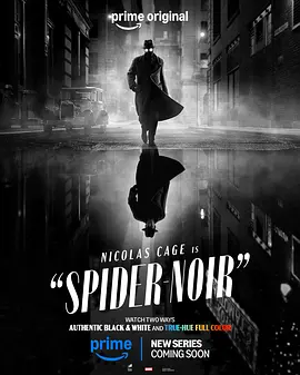 [动作/犯罪] 暗影蜘蛛侠 Spider-Noir  [尼古拉斯·凯奇/安德鲁·卡德威尔][蓝光/高清1080p/4K下载]